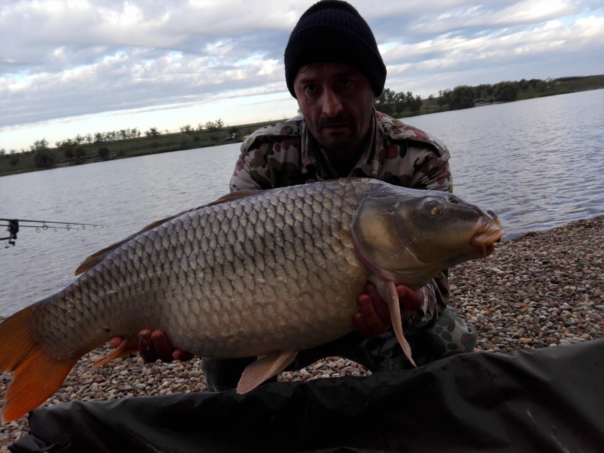 1-5 Octombrie Cetariu - img20161005083503.jpg